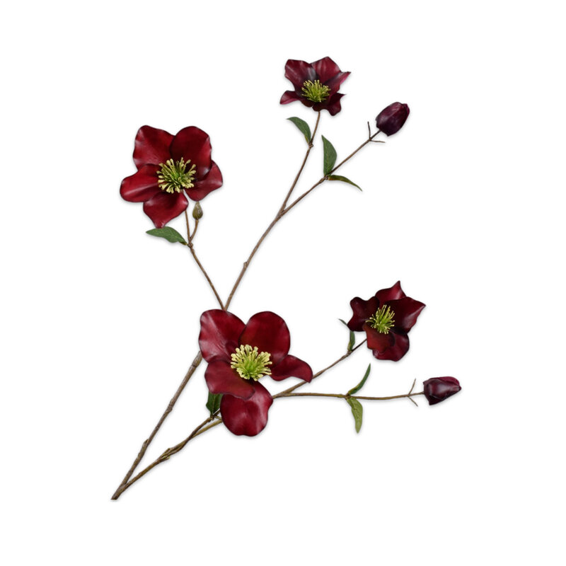 HELLEBORUS-SPRAY-BURGUND-RT-94-CM3