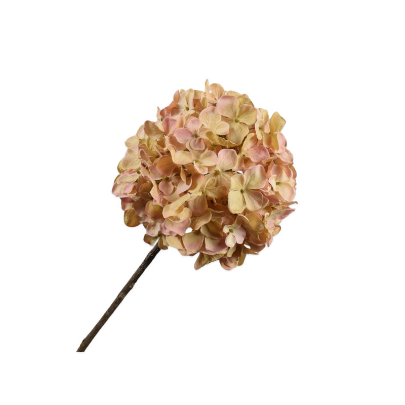 Mariella-Hydrangea-stem-70cm