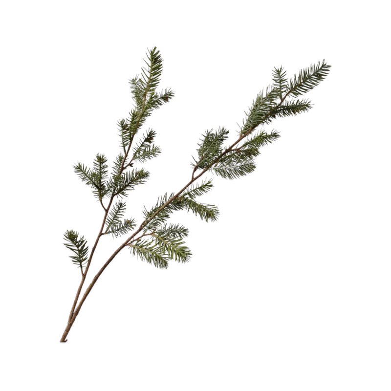 Mariella-PINESPRAY-produktbild