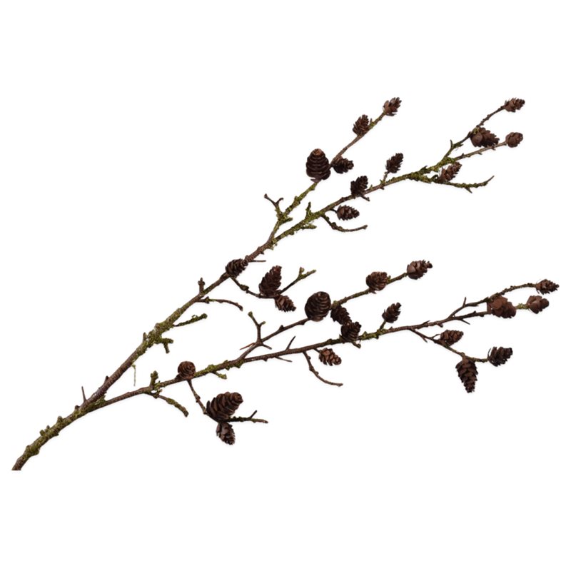 Mariella-PINESPRAYBROWN-produktbild