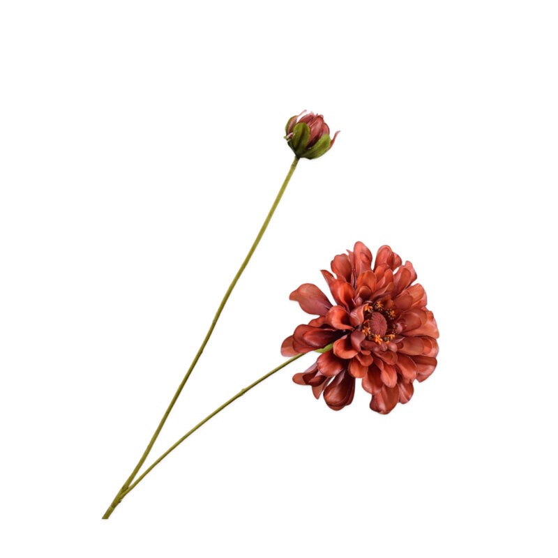 Mariella-Zinnia-Bruin-62cm-produktbild