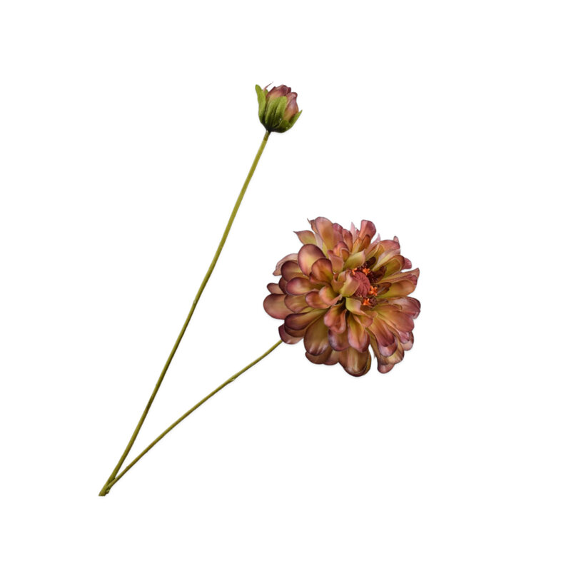 Mariella-Zinnia-Spray-62cm-produktbild