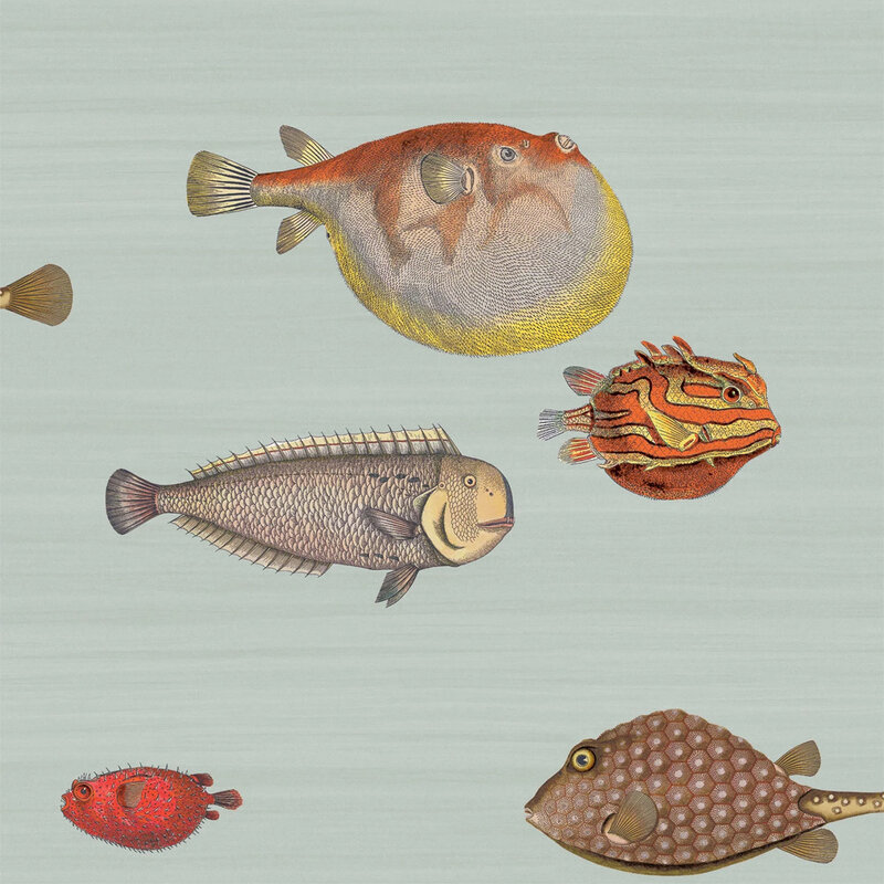 Mariella-acquario-fornasetti-light-blue-produktbild
