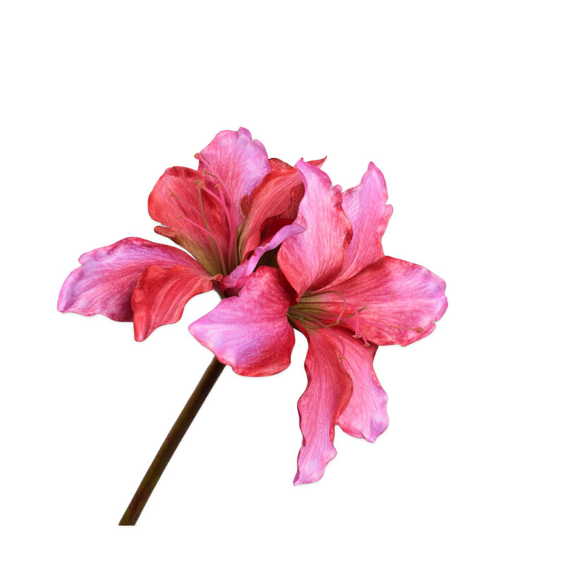 Mariella-amaryllis-pink-69cm-produktbild