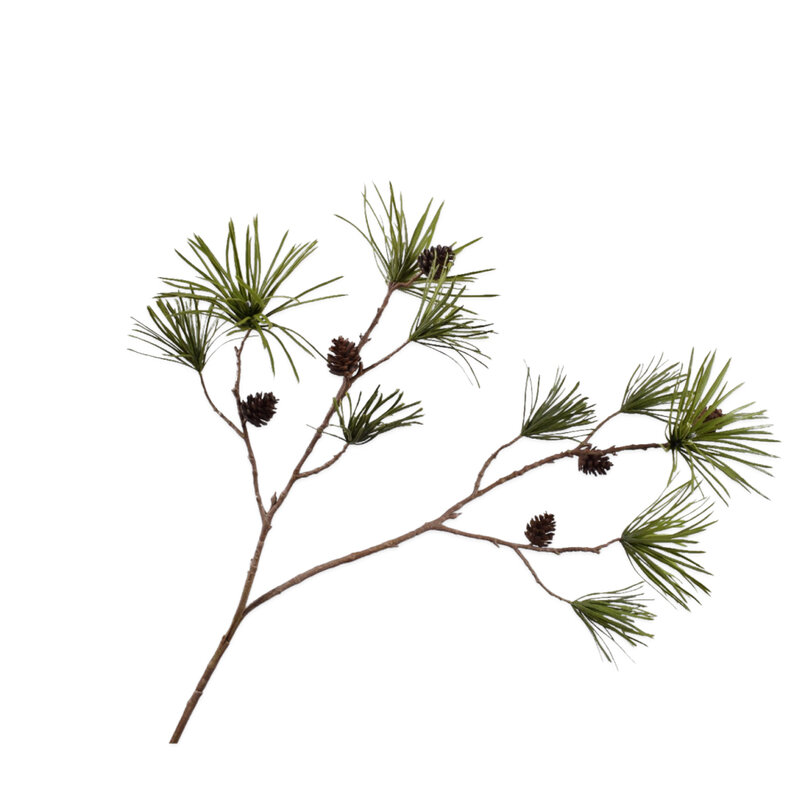Mariella-coniferous-pine-green-produktbild