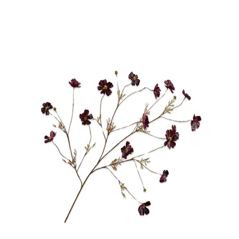 Mariella-cosmos-spray-104cm-produktbild