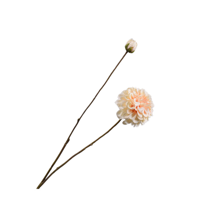 Mariella-dahlia-spray-cream-86cm-produktbild