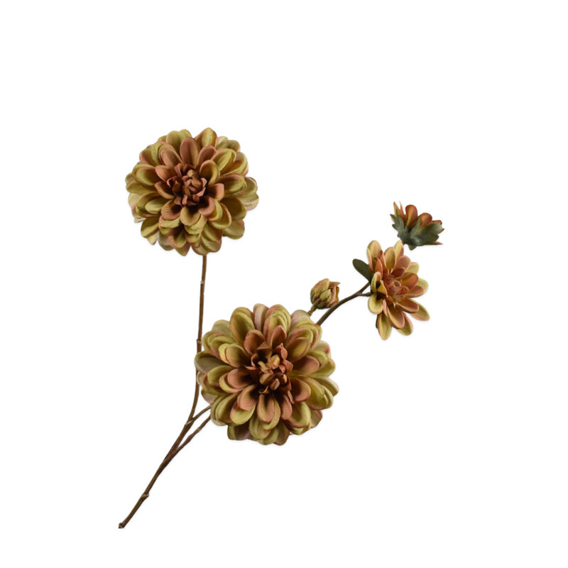 Mariella-dahlia-spray-green-70cm-produktbild