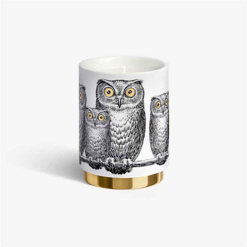 Scented Candle - Civette