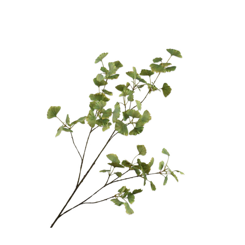 Mariella-gingko-spray-produktbild