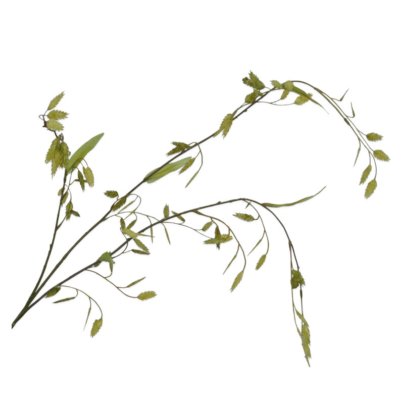 Mariella-grass-spray-produktbild