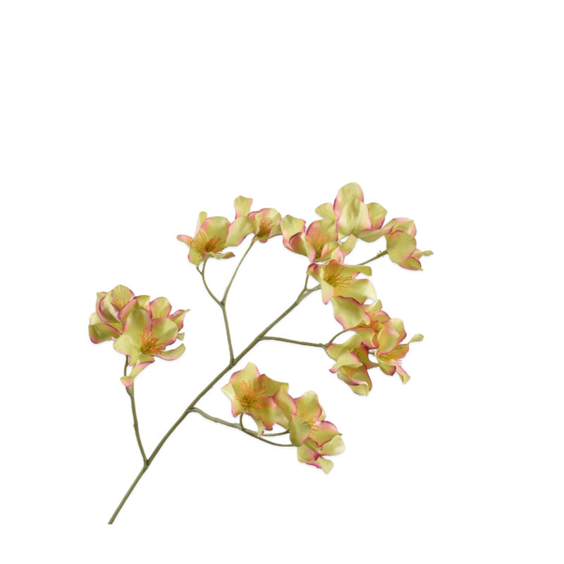 Mariella-helleborus-76cm-produktbild