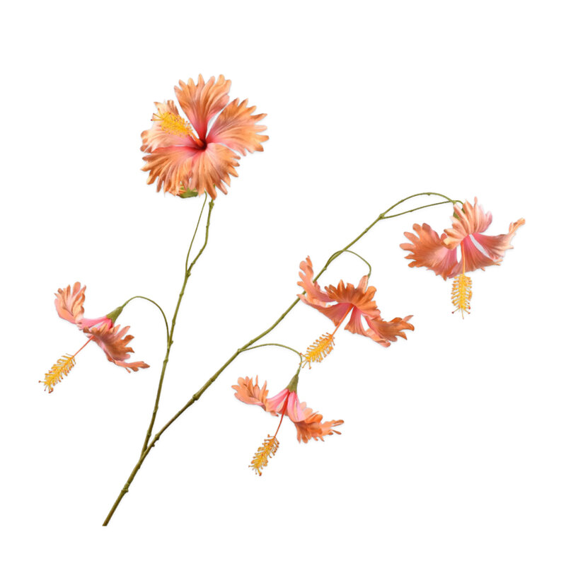 Mariella-hibiscous-peach-111cm-produktbild