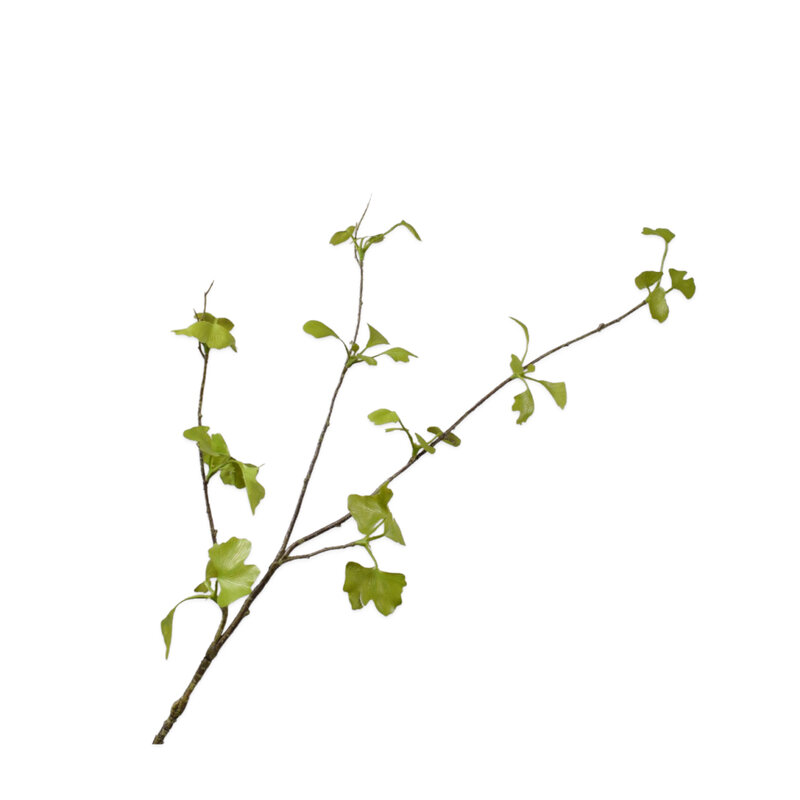 Mariella-konstgjord-vaxt-gingko-83cm-produktbild