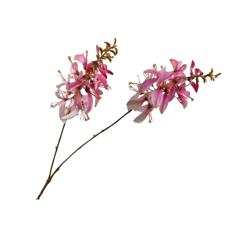 Mariella-konstgjordvaxt-macuna-produktbild