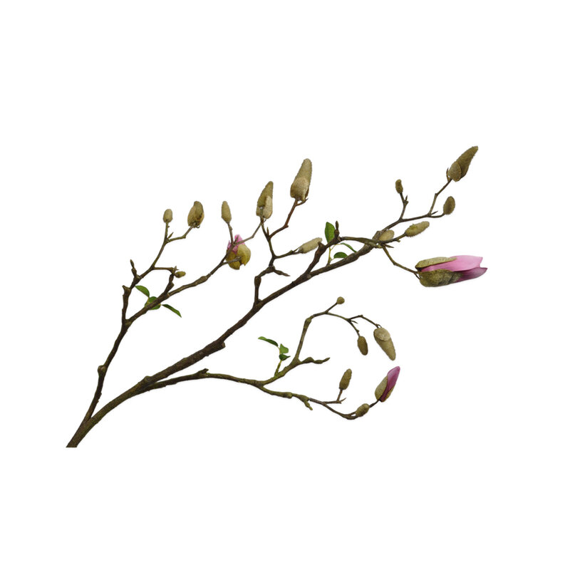 Mariella-konstväxter-magnolia-lavend-82-produktbild