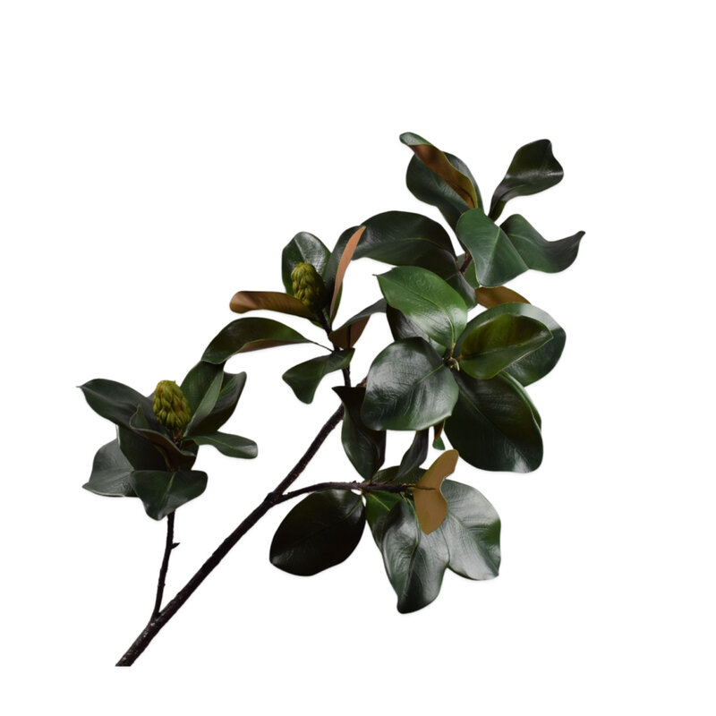 Mariella-magnolia-spray-157cm-produktbild