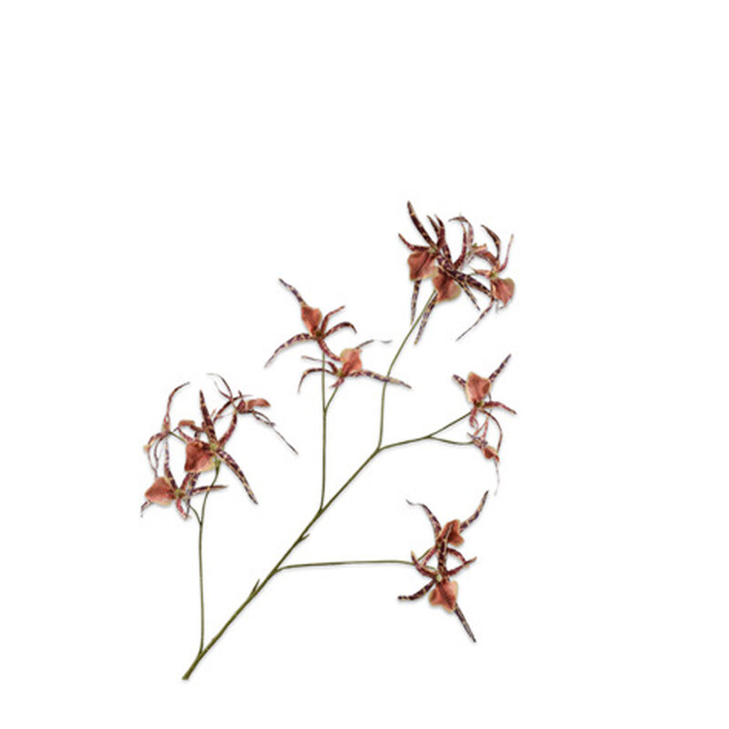Mariella-orchid-spray-brown-100cm-produktbild
