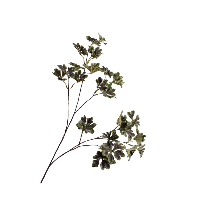 Mariella-pelargonium-92cm-produktbild
