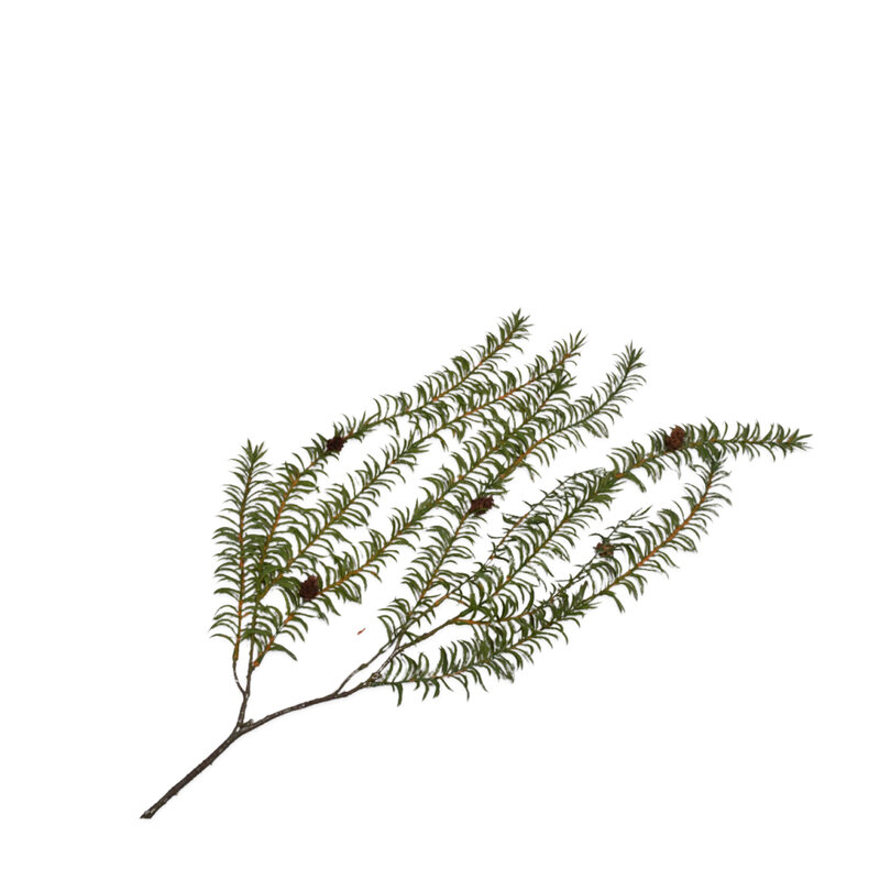 Mariella-pine-green-110cm-produktbild