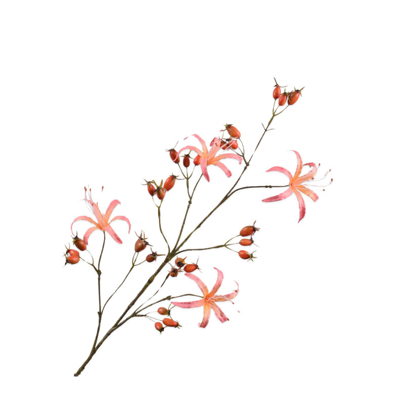 Mariella-rosehsip-spray-98cm-produktbild