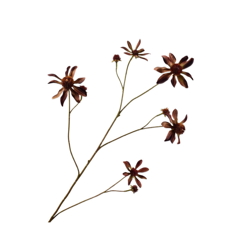 Mariella-rudbeckia-spray-burgund-91cm-produktbild
