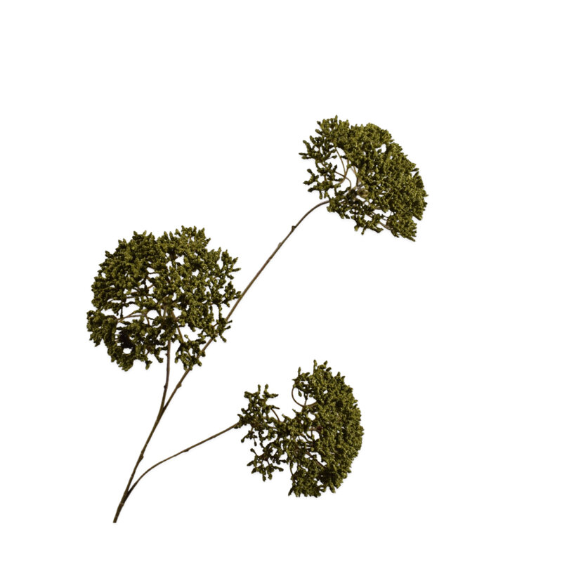 Mariella-trachelium-spray-85cm-produktbild
