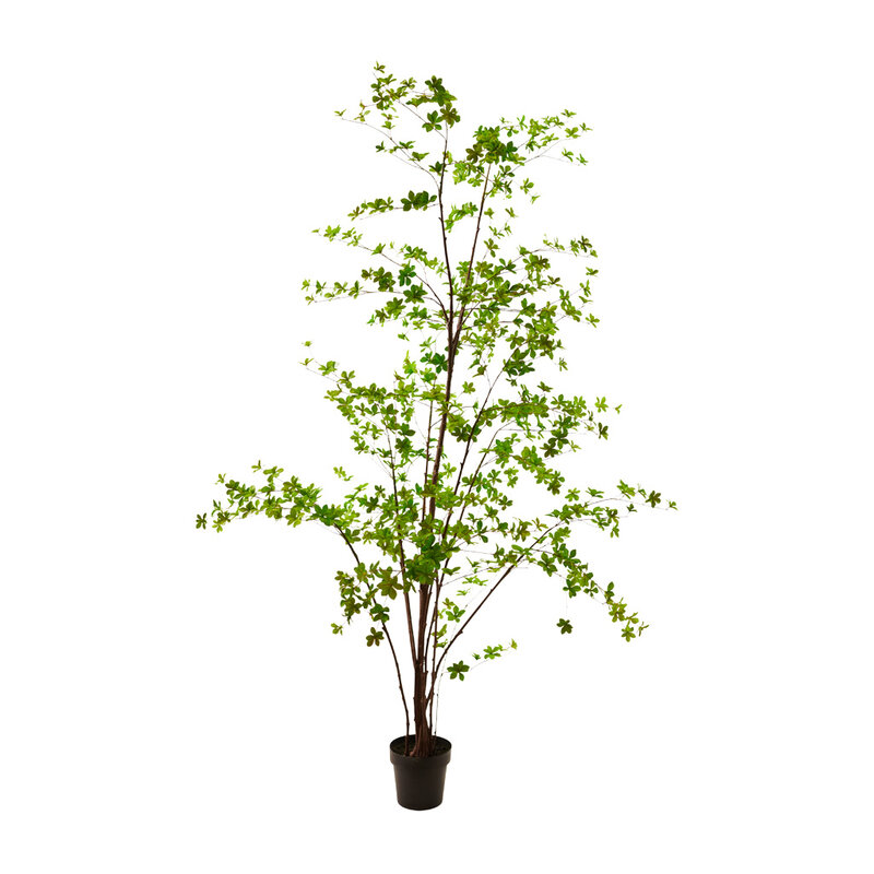 PLANT-GREEN-259-CM-jpg