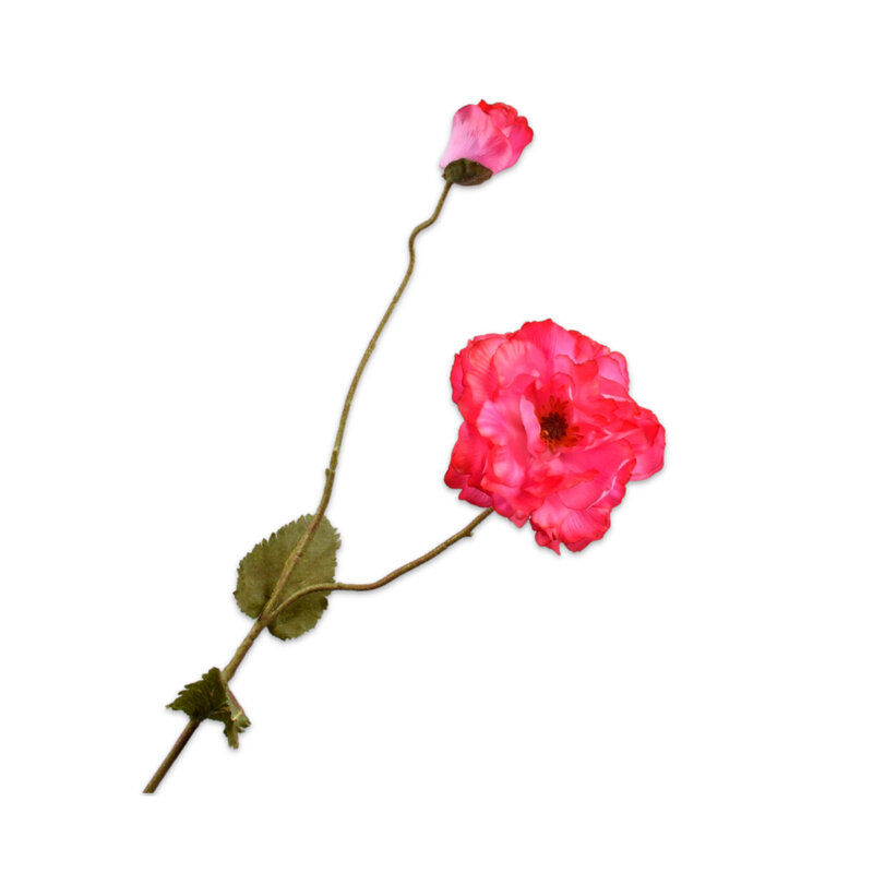 POPPY-SPRAY-BEAUTY-RT-109-CM-1