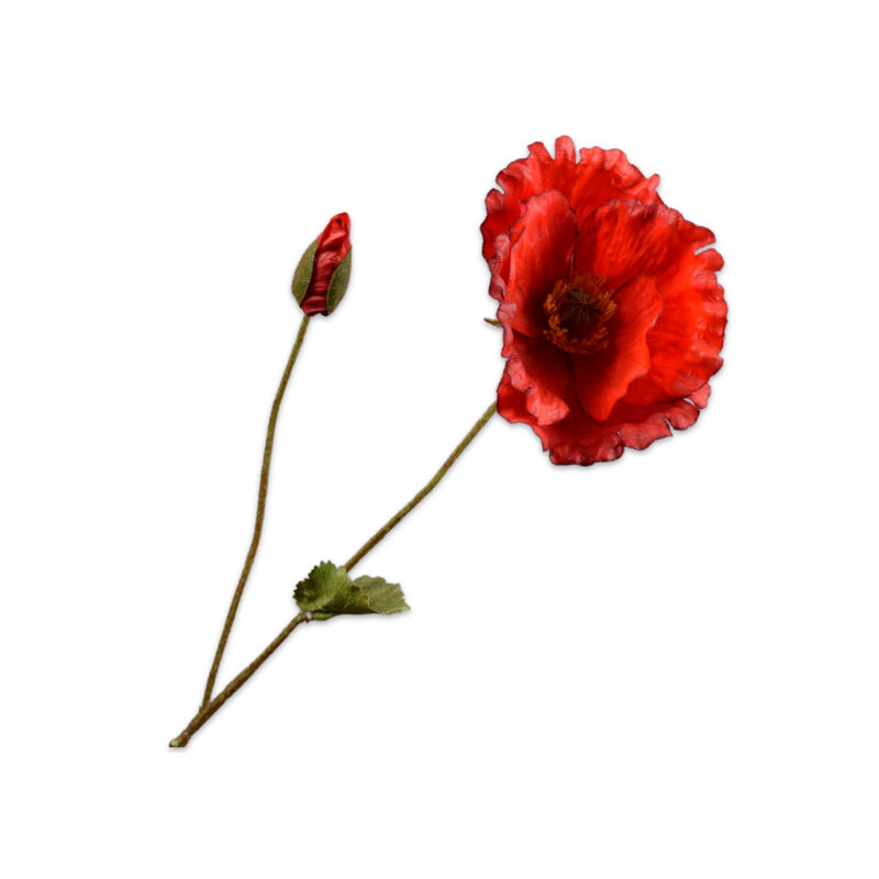 POPPY-STEM-RED-109---CM3