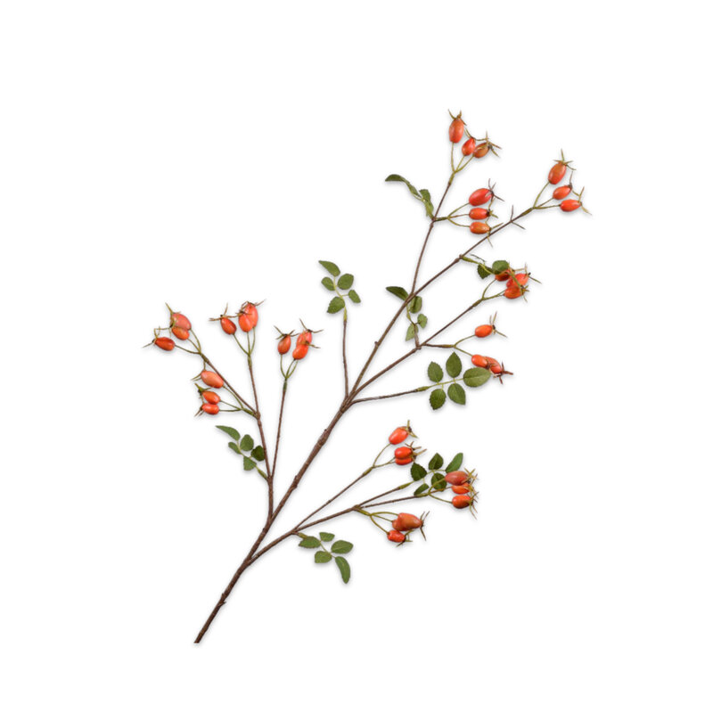 ROSEHIP-SPRAY-ORANGE-95-CM--3