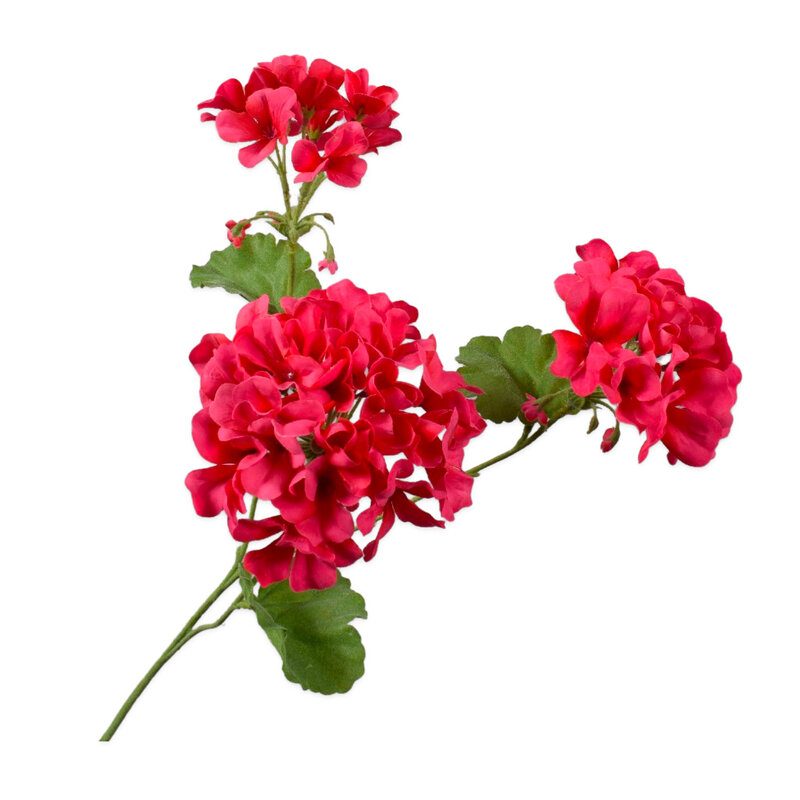 Skip-to-the-beginning-of-the-images-gallery-PELARGONIUM-SPRAY-PNK-BTY-58-CM-