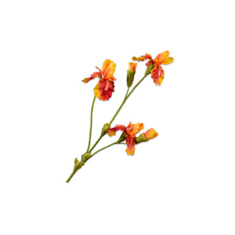 mariella-konstgjordvaxt-iris-spray-orange-yellow-102cm-produktbild