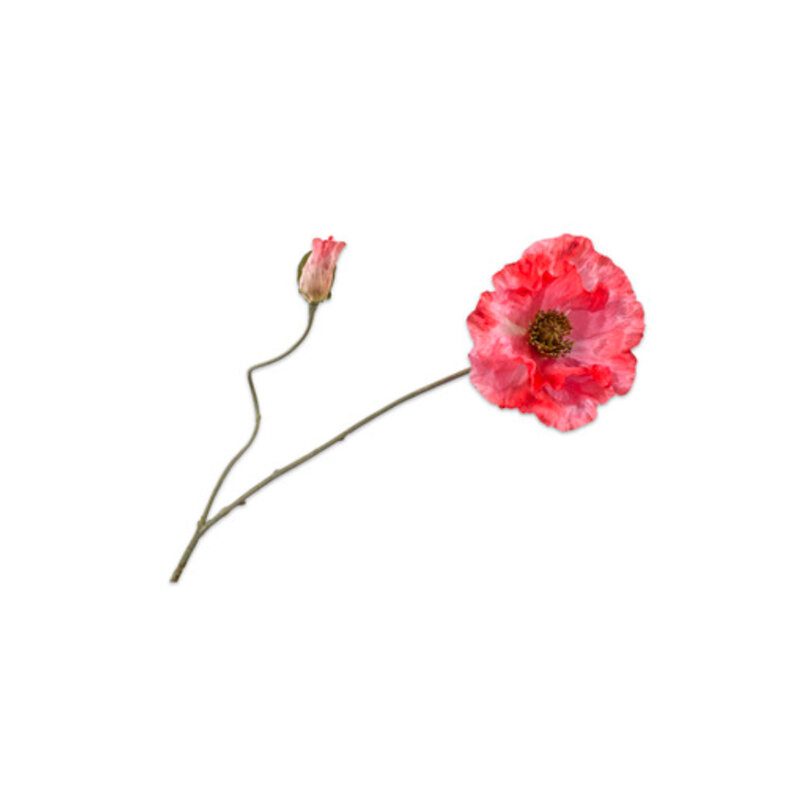 mariella-konstgjordvaxt-poppy-stem-pink-red-75cm-produktbild