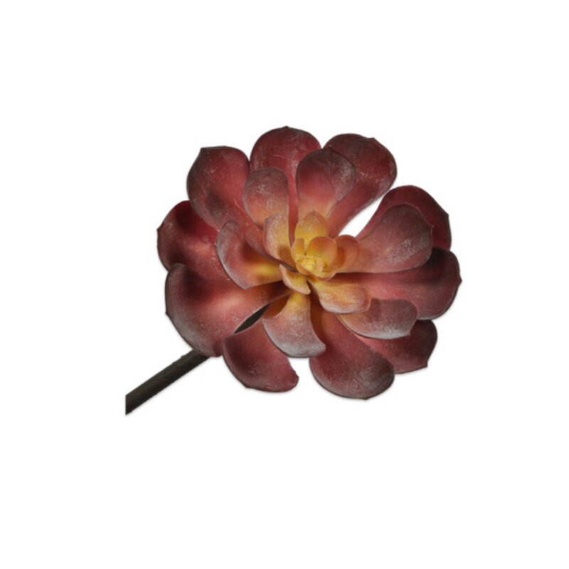 mariella-konstgjordvaxt-silkesblomma-blomma-succulent-stem-burgund-56-cm-produktbild