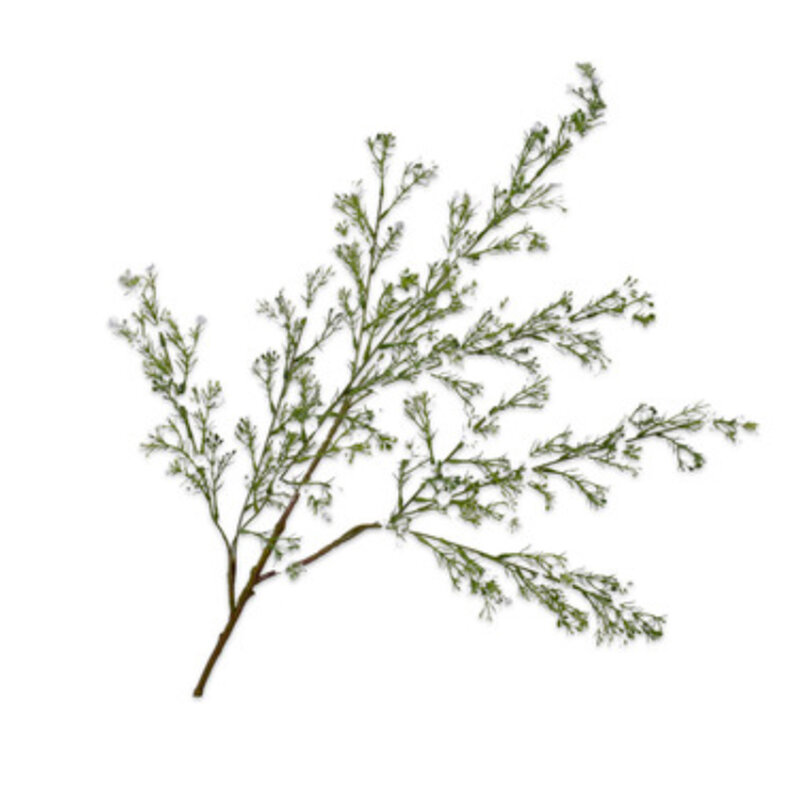 mariella-konstgjordvaxt-silkesblomma-gypsophila-spray-white-103-cm-produktbild
