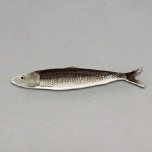 Mariella-Grey-sardine-shape-fish-produktbild