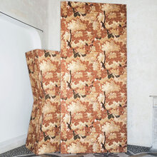 Mariella-Schwarzwald-miljöbild-2