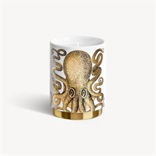 Scented Candle - Polipo