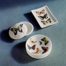 Mariella-fat-farfalle-fornasetti-miljöbild