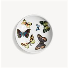 Mariella-fat-farfalle-fornasetti-produktbild
