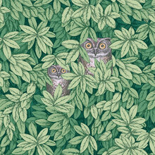 Mariella-fornasetti-FoglieeCivette-ForestGreen-produktbild