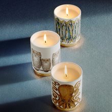 Scented Candle - Civette