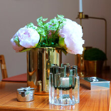 Mariella-skogsbergsmart-hurricane-rock-sage-miljöbild