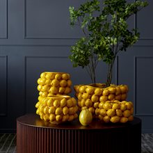 Citronkruka i keramik