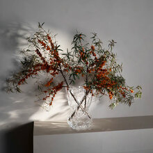 mariella-hein-studio-vase-reflection-flowers-new-