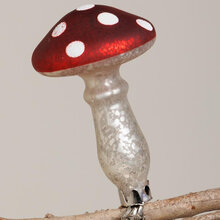 mariella-julkula-mushroom-clip-miljobild