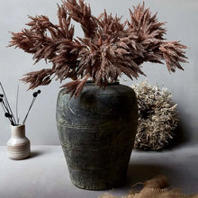 mariella_abigail_ahern_Marsh-reed-stem